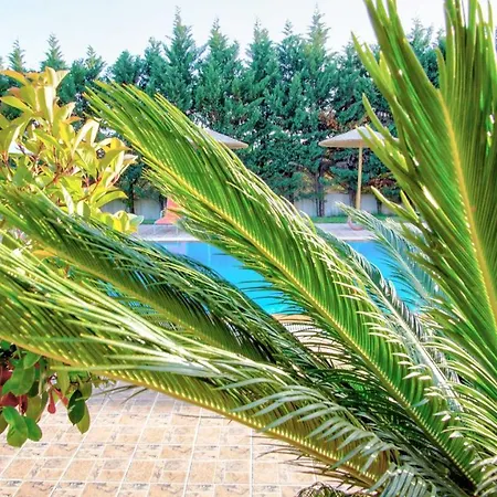 Villa Lefki Villa *